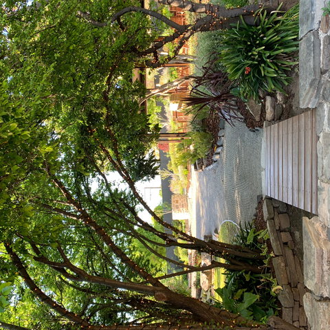 Velvet & Willow - Accommodation Daintree 0