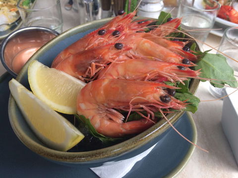 Anchors Wharf Licensed Restaurant - Accommodation Daintree 0
