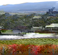 Milton Vineyard - Accommodation Daintree