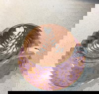 Royal Oak Hotel - Accommodation Daintree