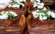 Summer Kitchen - thumb 11