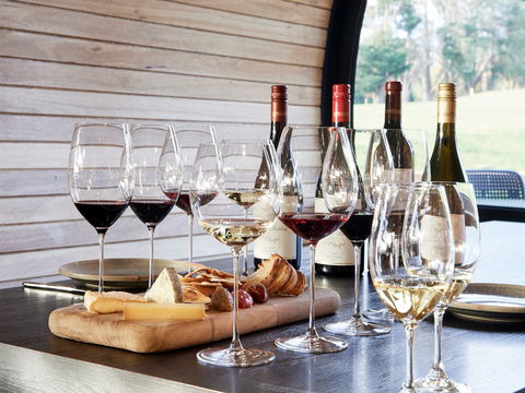 Levantine Hill - Accommodation Daintree 0