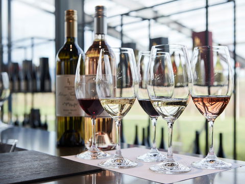 Levantine Hill - Accommodation Daintree 1