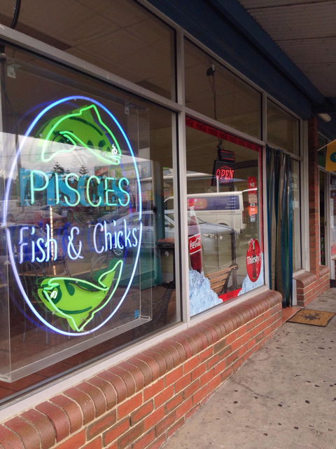 Pisces Fish & Chicks - Accommodation Daintree 0