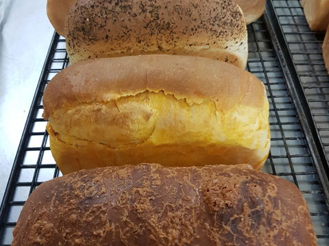 Plantation Organic Bakery - Accommodation Daintree 0