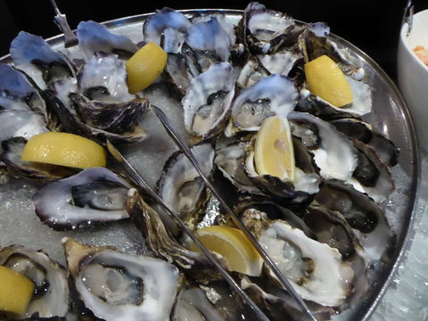 View 42o - Accommodation Daintree 0