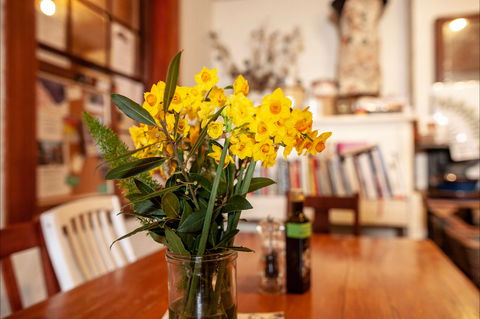 Artisan On Lewis - Accommodation Daintree 2