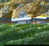 Two Bud Spur Vineyard - Accommodation Daintree