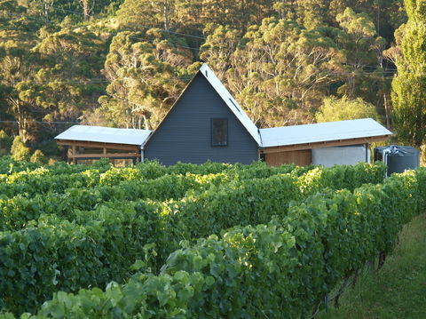 Two Bud Spur Vineyard - Accommodation Daintree 0