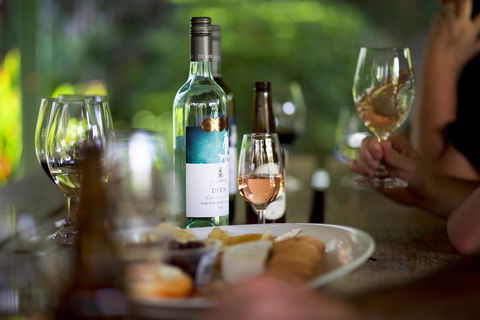 De Bortoli Wines Bilbul - Accommodation Daintree 0