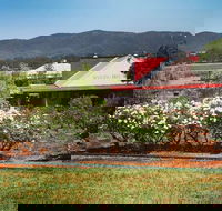 Hanging Tree Wines - Accommodation Daintree