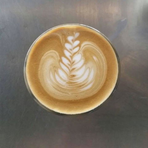 Aussie Bites Cafe - Accommodation Daintree 0