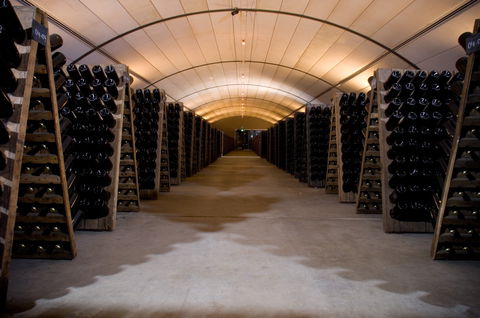 Domaine Chandon - Accommodation Daintree 2