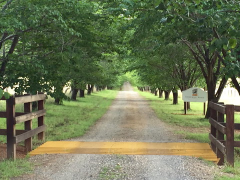 Stockmans Ridge Wines - Accommodation Daintree 1