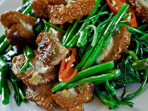 Thailicious - Accommodation Daintree 1