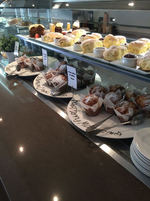 The Terrace - Accommodation Daintree 0