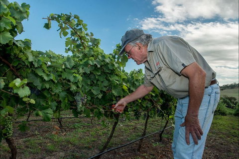 Vale Creek Wines - Accommodation Daintree 2