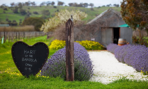 Hart Of The Barossa - Accommodation Daintree 0