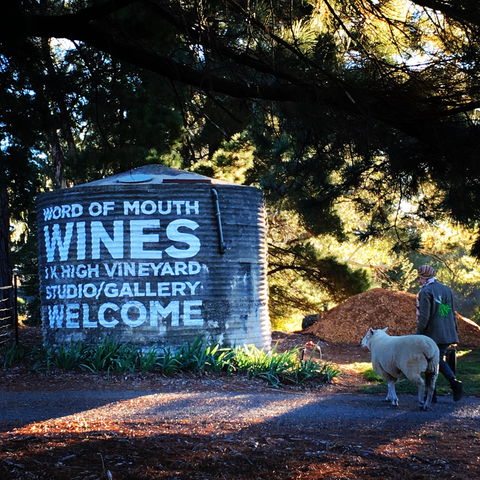 Word Of Mouth Wines - Accommodation Daintree 1