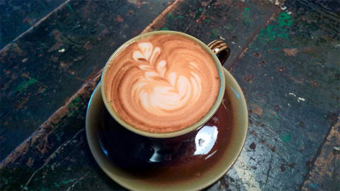 Fox & Rabbit Coffee Co. - Accommodation Daintree 0