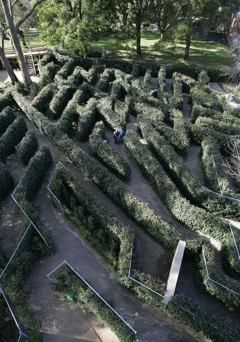 Bluebush Cafe - Accommodation Daintree 11