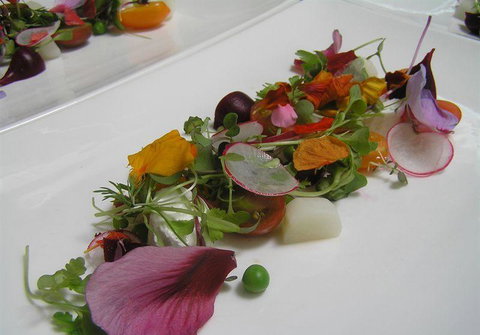 Bluebush Cafe - Accommodation Daintree 13