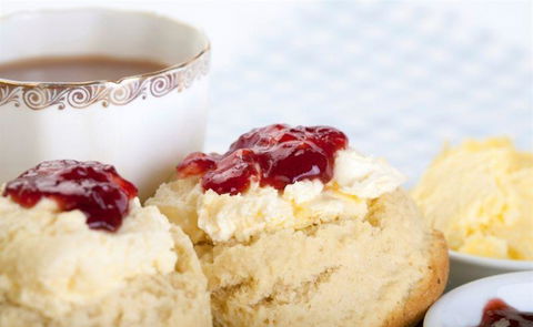 Bluebush Cafe - Accommodation Daintree 19