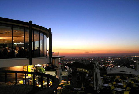 Bluebush Cafe - Accommodation Daintree 20