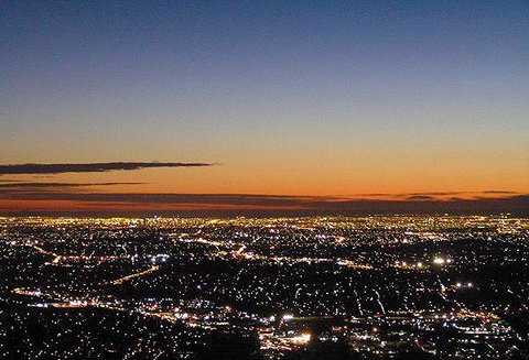 Bluebush Cafe - Accommodation Daintree 21