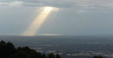 Bluebush Cafe - Accommodation Daintree 26