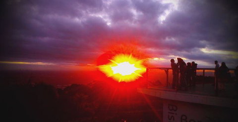 Bluebush Cafe - Accommodation Daintree 28