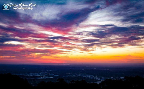 Bluebush Cafe - Accommodation Daintree 29