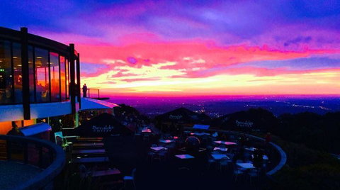 Bluebush Cafe - Accommodation Daintree 31