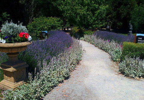 Bluebush Cafe - Accommodation Daintree 6