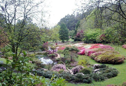 Bluebush Cafe - Accommodation Daintree 7