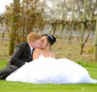 Lunch Craft - Accommodation Daintree