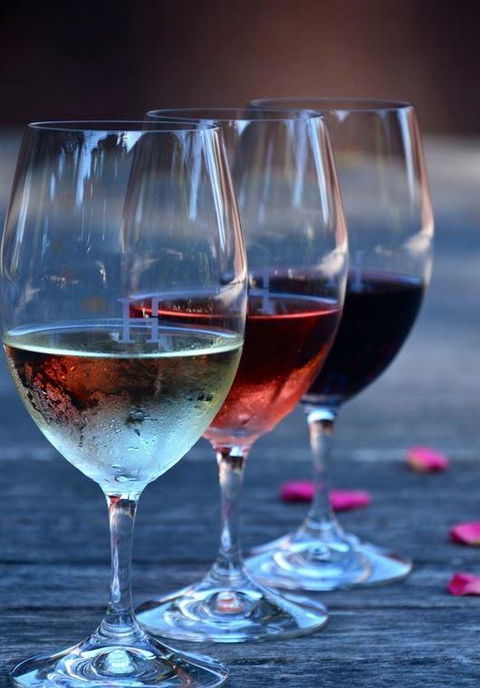 Vines Restaurant At Hollydene Estate - Accommodation Daintree 8