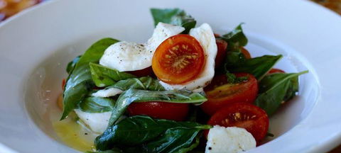 Arlo's Pizzeria - Accommodation Daintree 2