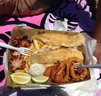 Big Tuna Fish Co. - Accommodation Daintree