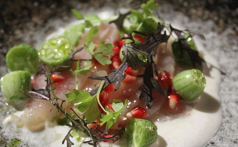 Allegra Dining - Accommodation Daintree 1