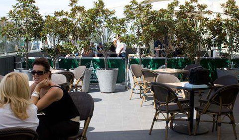 Ambrosia Cafe - Accommodation Daintree 4