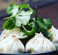 Andre's Cucina  Polenta Bar - Accommodation Daintree