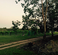 Brierley Wines - Accommodation Daintree