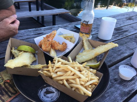 Frying Nemo - Accommodation Daintree 5