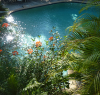 Avoca Beach Hotel - Accommodation Daintree