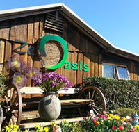 Zen Oasis Vegetarian Restaurant - Accommodation Daintree
