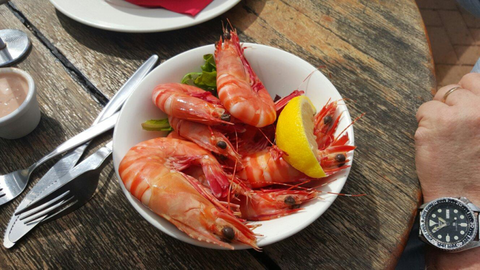 The Marlin Bar - Accommodation Daintree 2