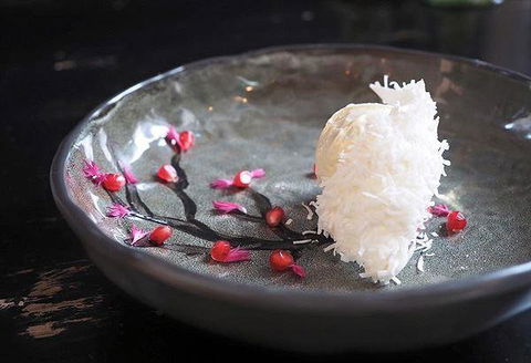 Citro Bar & Restaurant - Accommodation Daintree 9