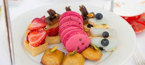 Albert Park Hotel - Accommodation Daintree 1