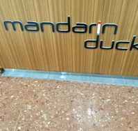 Mandarin Duck - Accommodation Daintree